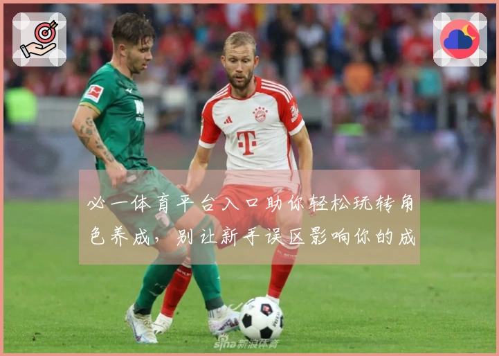 必一体育平台入口助你轻松玩转角色养成，别让新手误区影响你的成长之路