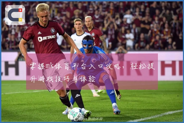 掌握mk体育平台入口攻略，轻松提升游戏技巧与体验